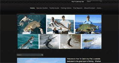 Desktop Screenshot of howtocatchanyfish.com