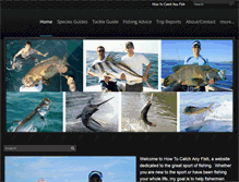 Tablet Screenshot of howtocatchanyfish.com